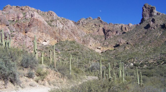 The Ultimate Guide to ATV Rentals in Phoenix: Explore Arizona’s Best Trails