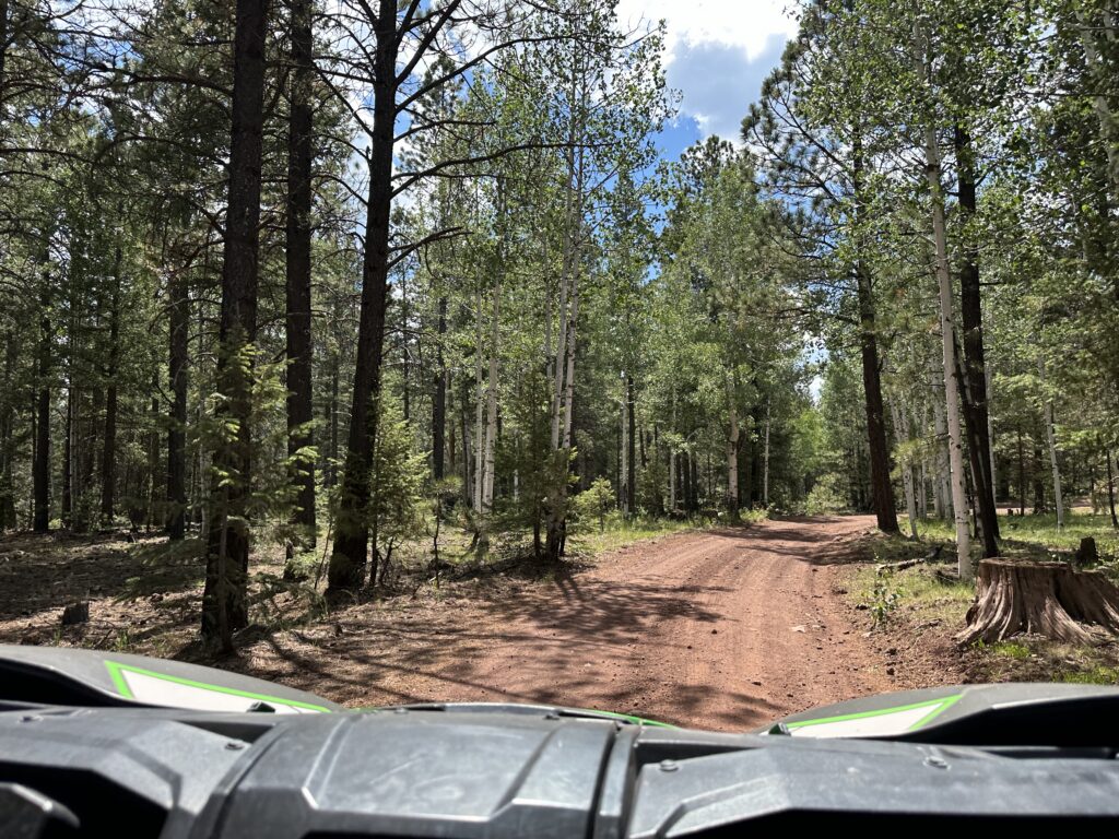 Northern Arizona Side by side rental