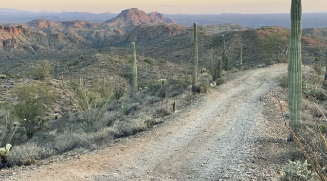 Planning a Florence, AZ Off-Road Trip? Here’s Everything You Need to Know