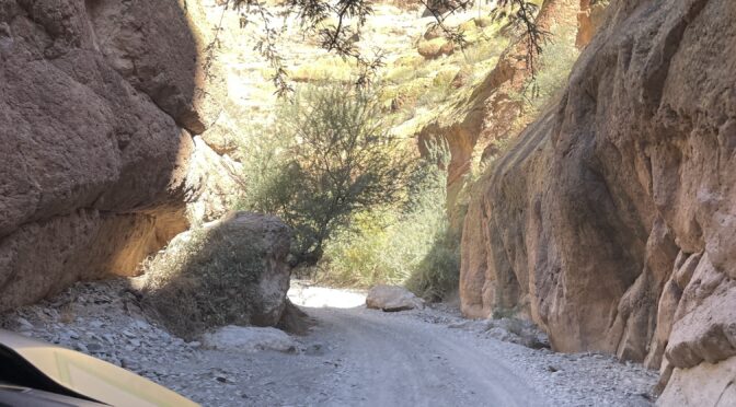 Arizona's Best Places to Ride a UTV