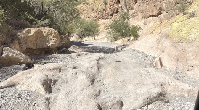 Side by side rentals Florence AZ